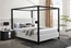 Adalyn Canopy Queen Bed