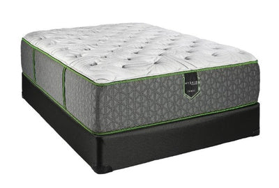 Madrid Top Plush Mattress & Boxspring - Katy Furniture